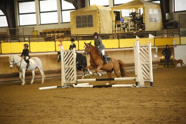  Competencia ecuestre 