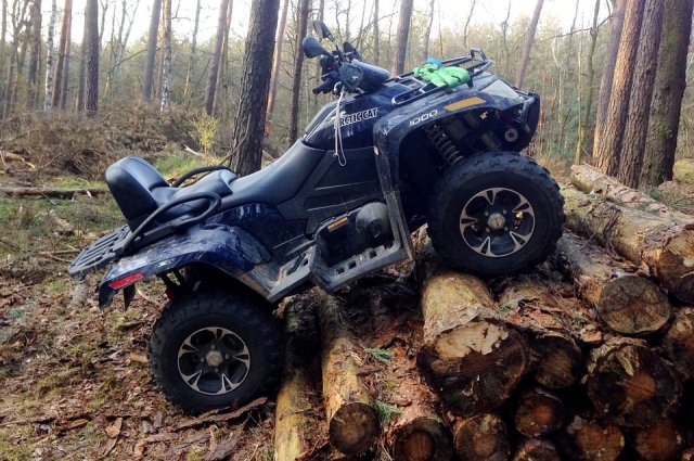 Con el cuatrimoto en medio del bosque 