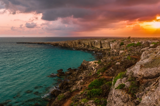  Atardeces en Favignana 