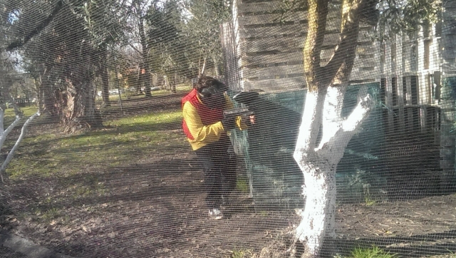  Jugador esperando al oponente