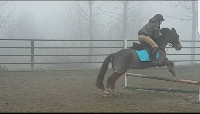 Entrenamiento en la niebla