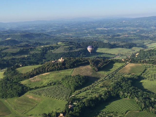  volando sobre la vegetación 