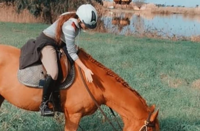  caballos 