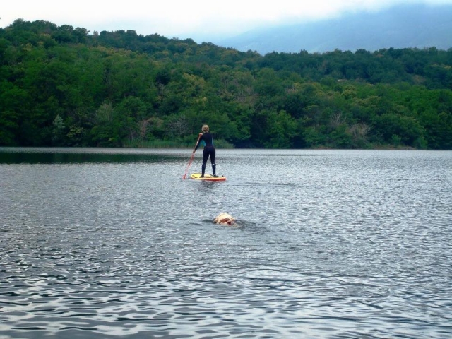  Paddle board 