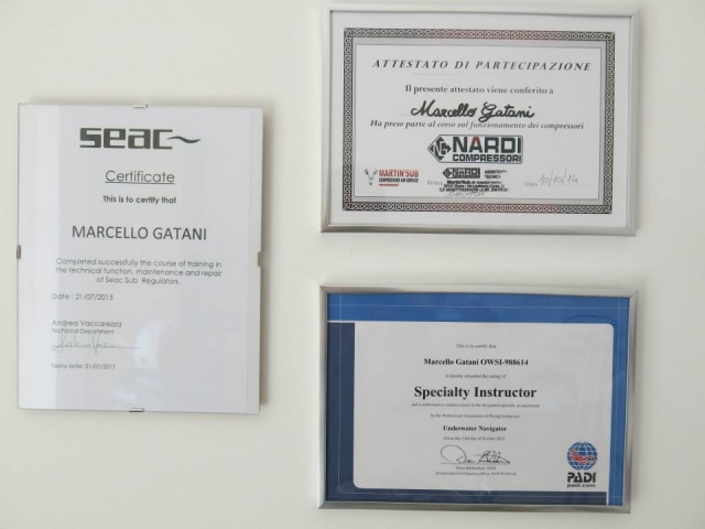 Certificados STAFF 