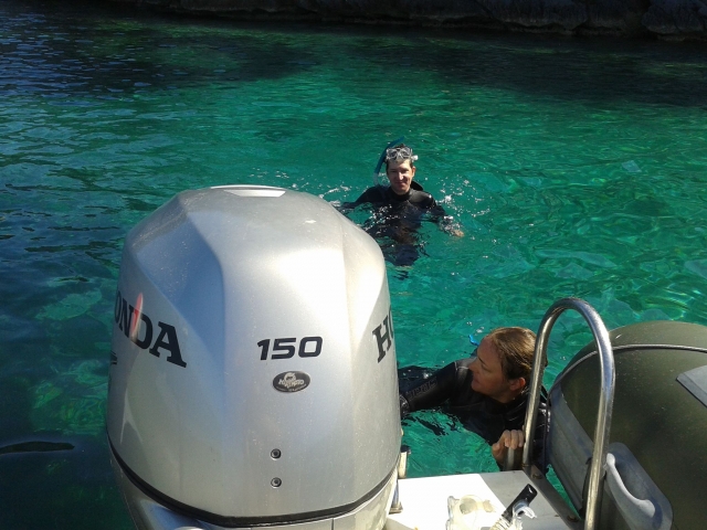 Entrenamiento en la alberca 