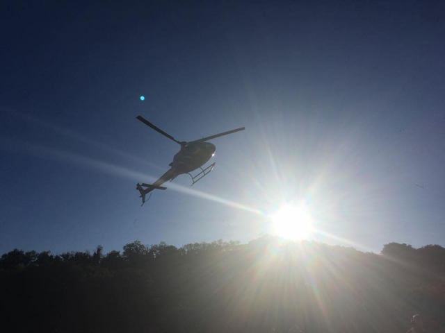  Nos levantamos en vuelo 
