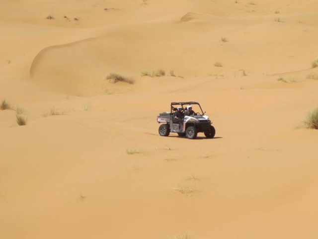  Buggy en el desierto 