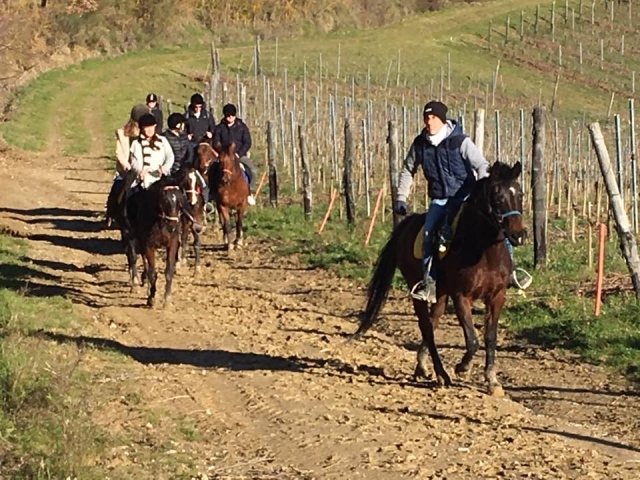 Duranle la camicrema 