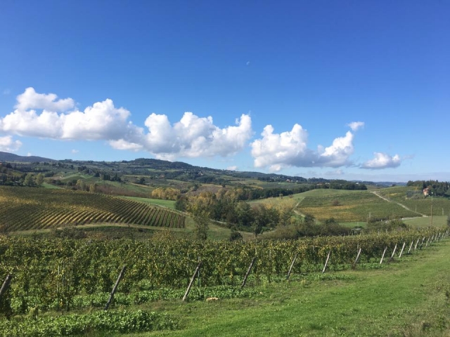 Hermosas colinas toscanas 