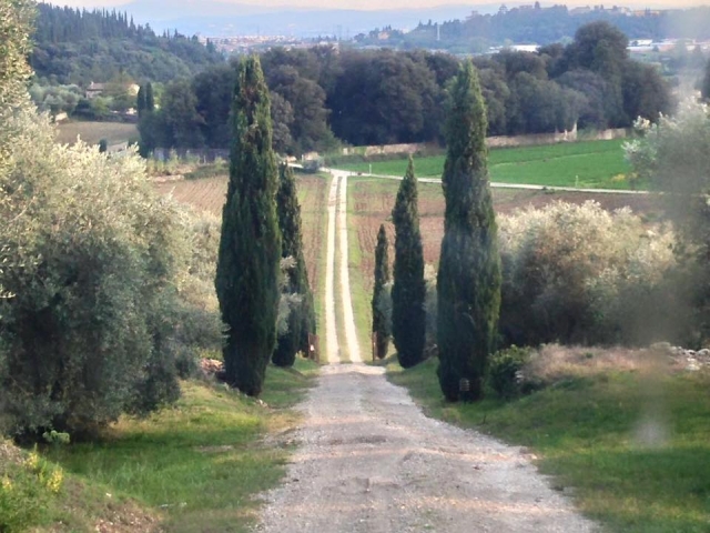  Vistas espectaculares 