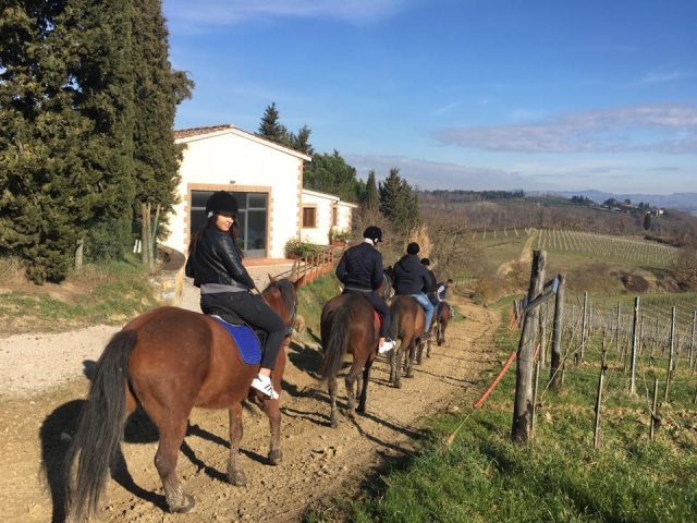  alrededor de las colinas de la Toscana 