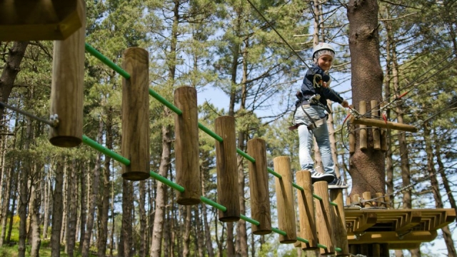 Parco Avventura dei Peloritani