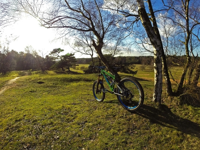  Entre el campo 