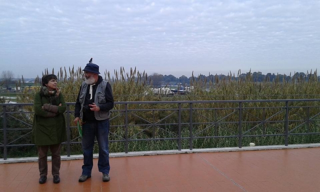 Ansa del Tevere 
