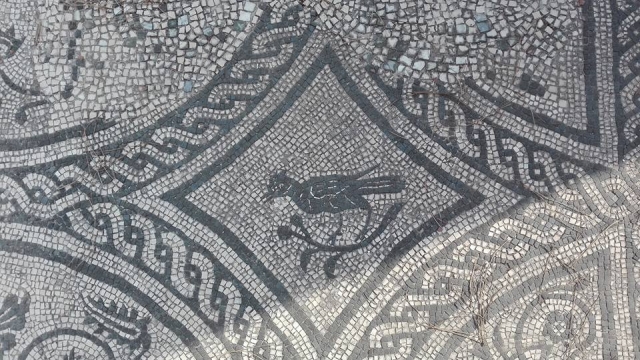  Mosaicos en Ostia 