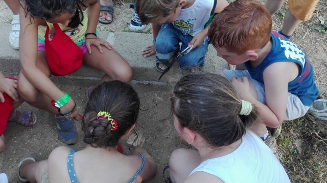  Pequeños arqueólogos 