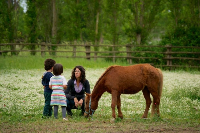  Acercándonos al mundo de los caballos 