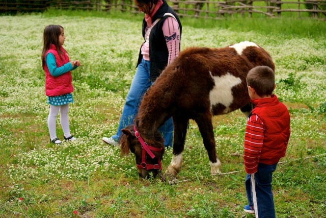  Pequeños jinetes