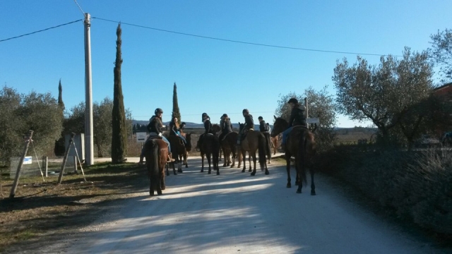  Todos de viaje 