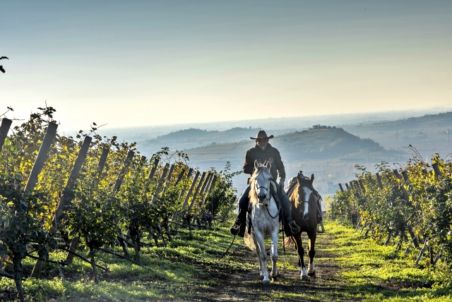  Un paseo otoñal a caballo 