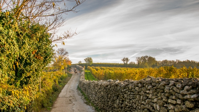  ¡Descubre la belleza del otoño en la silla de subir! 
