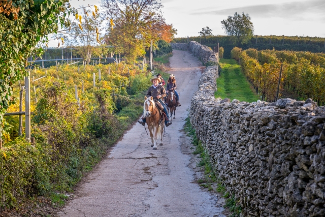  Paseo a caballo en compañía 