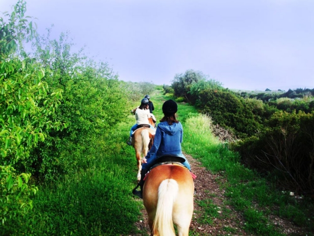  A caballo en la naturaleza 