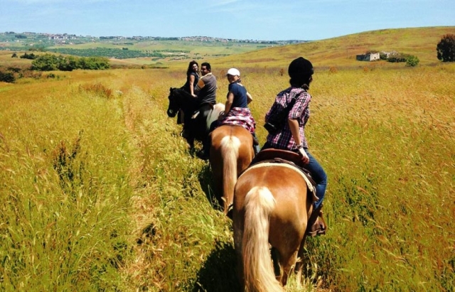  A caballo por la ruta del trigo
