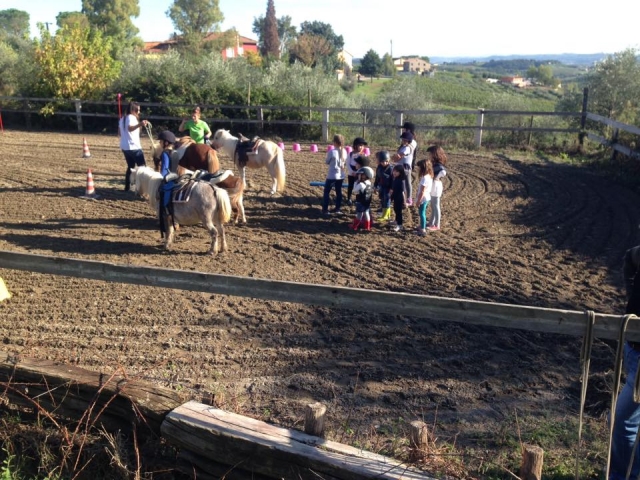  Ponis y niños 