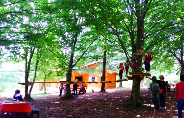  Niños el parque 