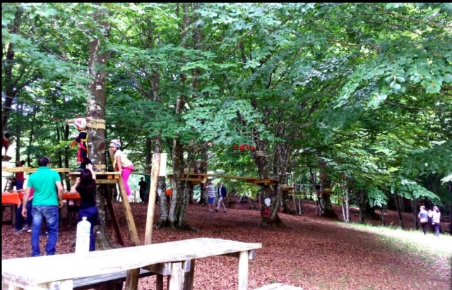  El parque 