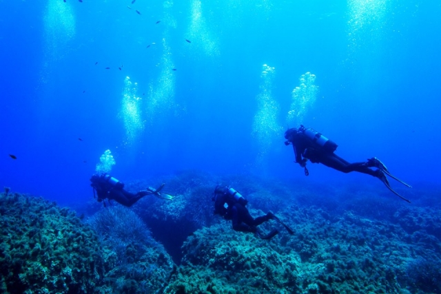  entre las profundidades 