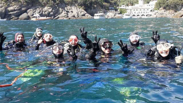  bucear en la empresa 