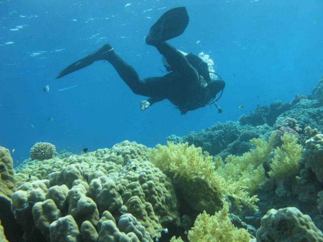  en medio de la naturaleza 