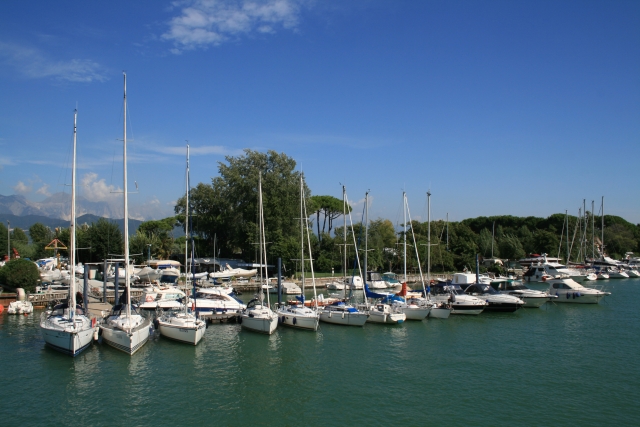  El muelle