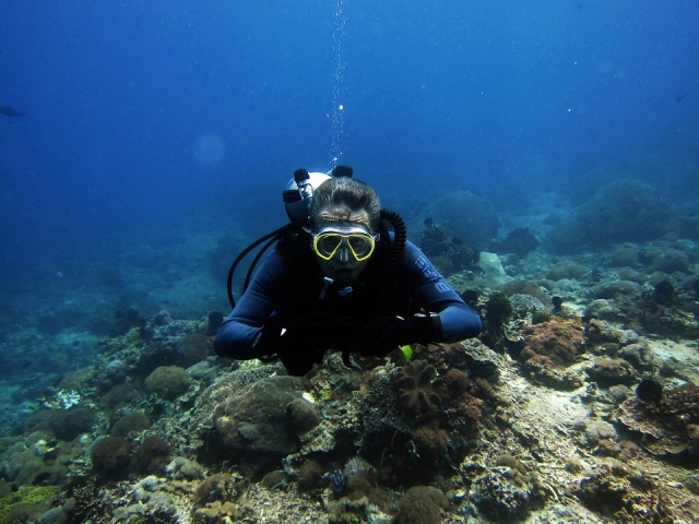  entre el fondo marino 
