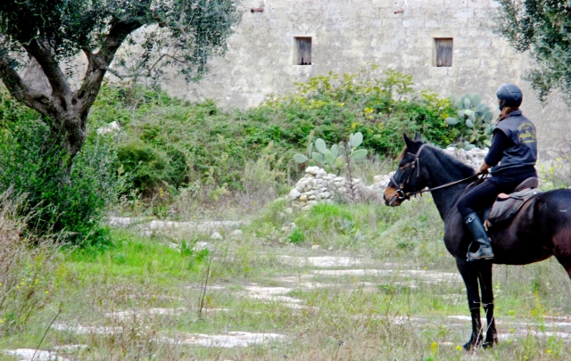  Vamos a dar un agradable paseo 