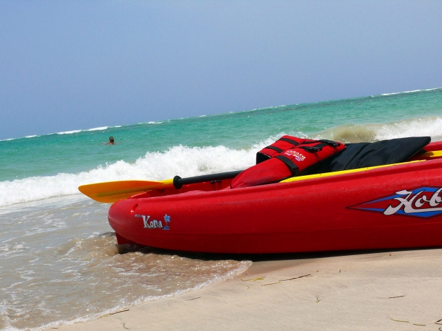  Listos para entrar al mar 