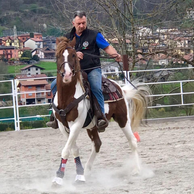  Instructores SEF Italia 2 niveles 