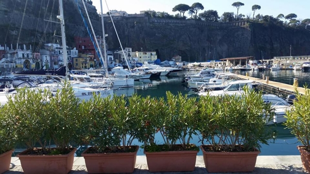  con el sol al frenle 