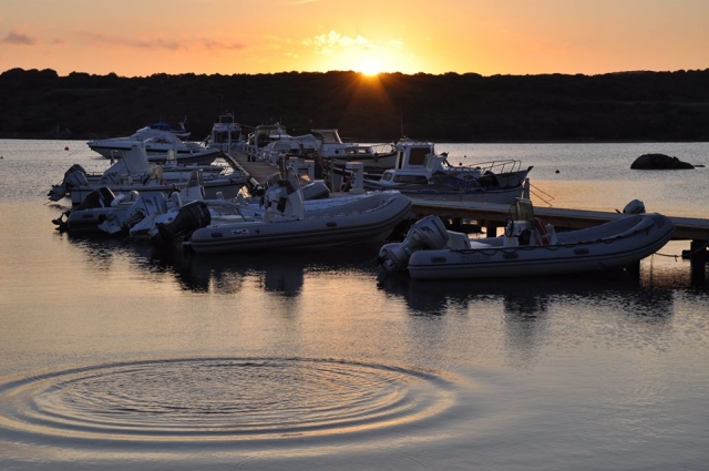  Nuestra flota en el muelle 