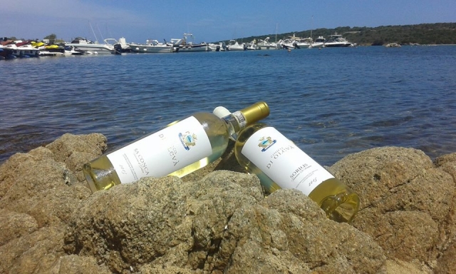  Vino y mar, combinación perfecta 