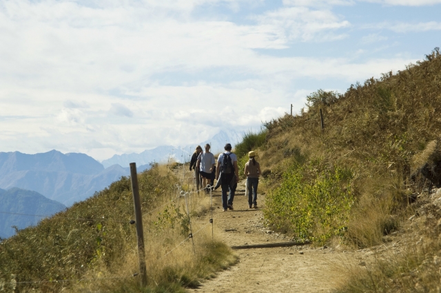 Camicrema en la naturaleza 