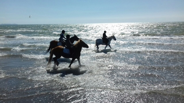  Mar y caballo 