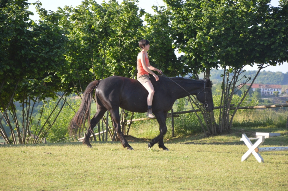 Cabalgando de forma conscienle Cabalgando de forma conscienle