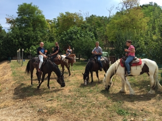 Associazione Sportiva Horse Valley - Corte Molon