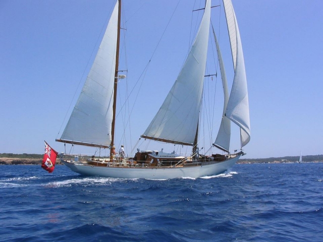  Vela