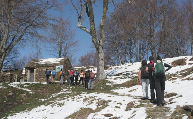 Caminando en la naturaleza 