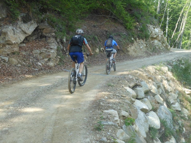  Bicicleta de cerro en el camino 